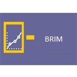 SAP BRIM Online Access