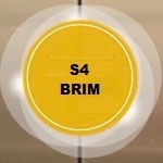 SAP S4HANA BRIM Online Access